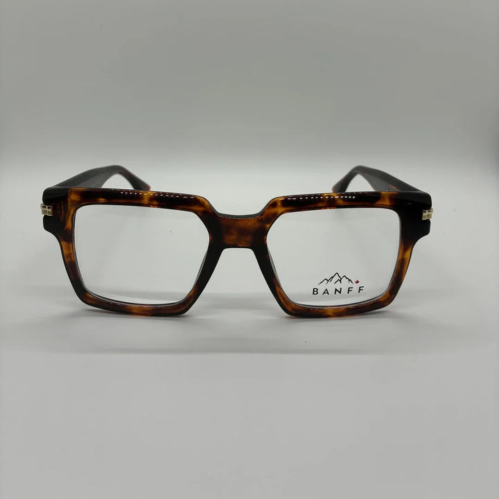 Bashaw C2 Tortoise – front view