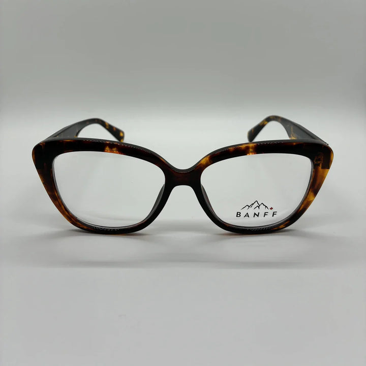Delacour C2 Tortoise – front view