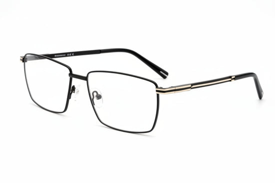 Barrhead rectangle stainless steel men's eyeglasses, front view